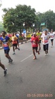TCS World 10K 2016 - The run